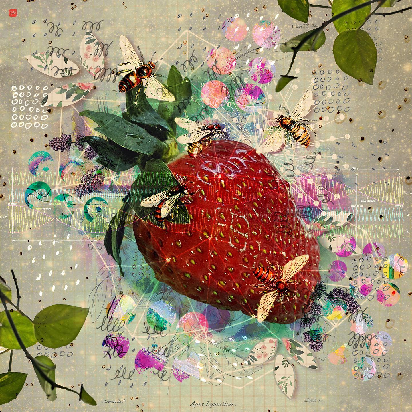 Strawberry Bees by Sue Jenkins